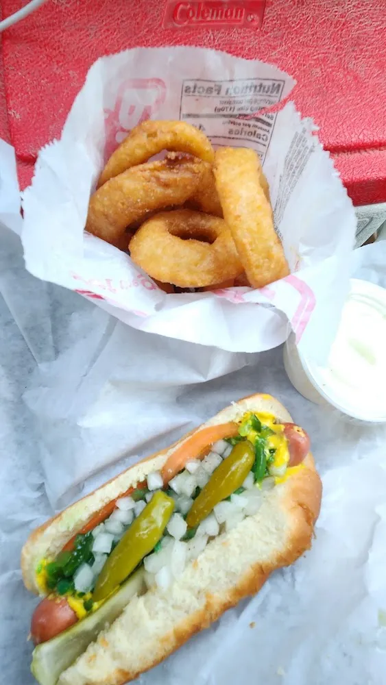 Chicago Dog and Onion Rings